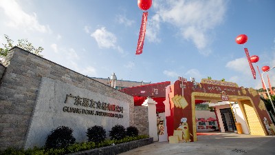 “莺迁新嘉，群星汇聚”尊龙凯时多彩活动盛情开展（下）